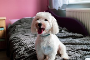 爱游戏全站app注册-CBA新赛季赛程公布焦点大战排布合理提升观赛体验，cba 新赛季