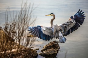 爱游戏体育在线app-热火新赛季口号公布突出精神属性，新赛季热火首发