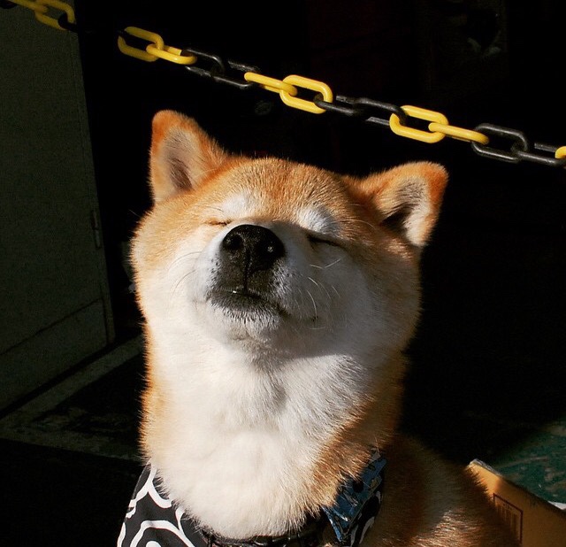 射手伤停对冠军竞争形势的实质影响评估，射手被伤害之后还要原谅吗