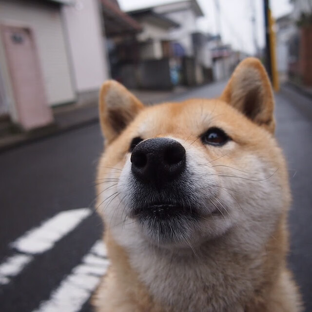 足球梯队人才输送机制逐步成熟，足球人才选拔机制