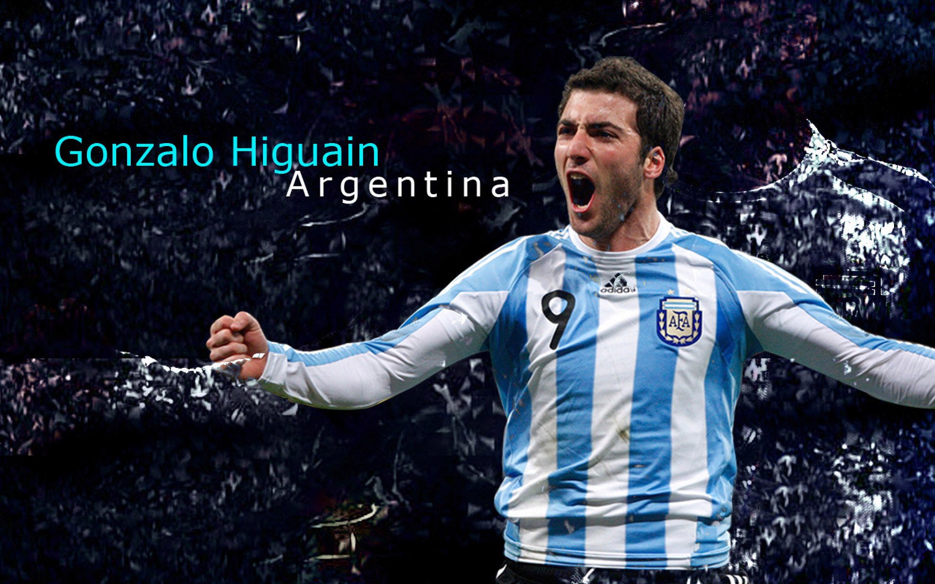 爱游戏体育app-新明星崭露头角，值得期待！，新明星的照片